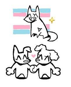 transjoy transjoy